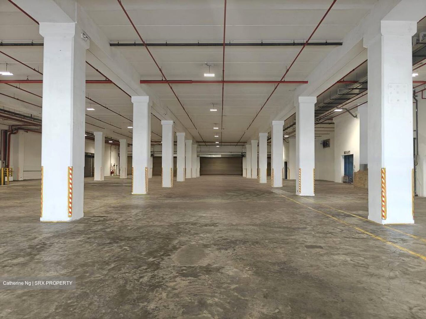 TEEHAI @ TAMPINES LOGISPARK (D19), Warehouse #501085571